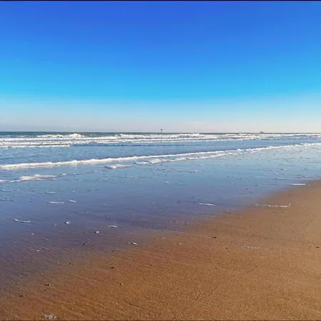 Apartment Duplex In Near & Casino *