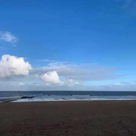 Duplex In Near & Casino