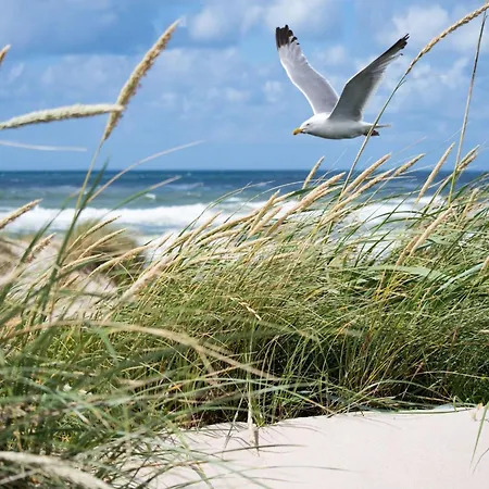 Apartment Duplex In Near & Casino *