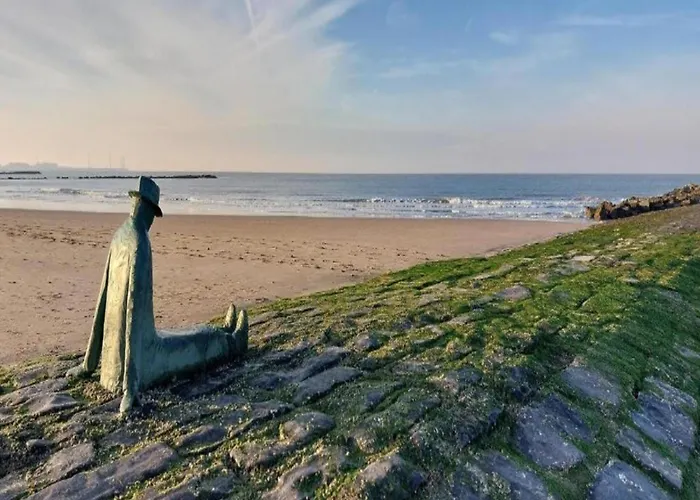 Duplex In Near & Casino * Knokke-Heist