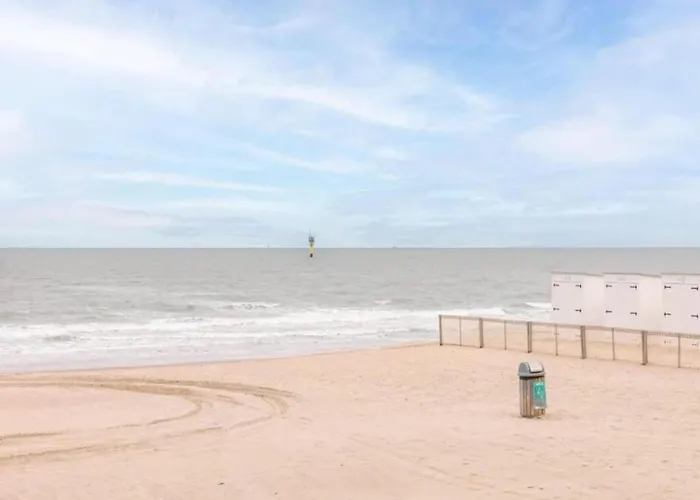 Duplex In Near & Casino