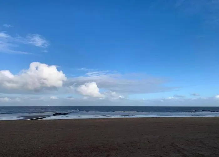 Duplex In Near & Casino