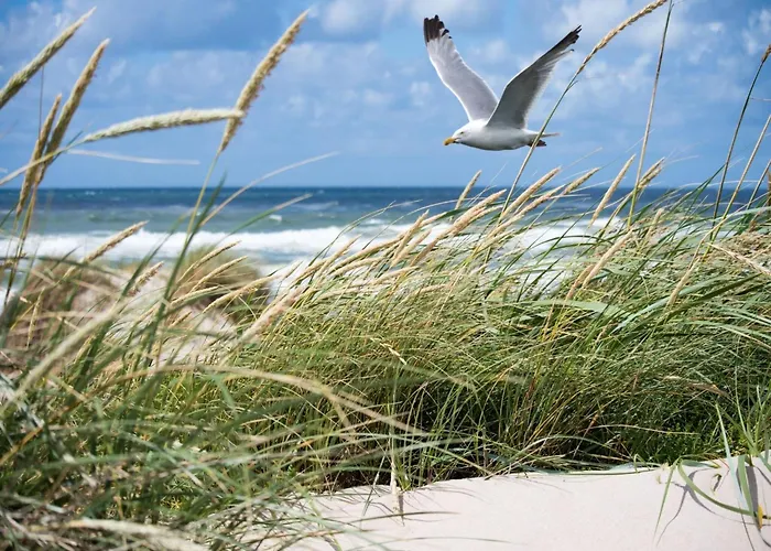 Appartement Duplex In Near & Casino *